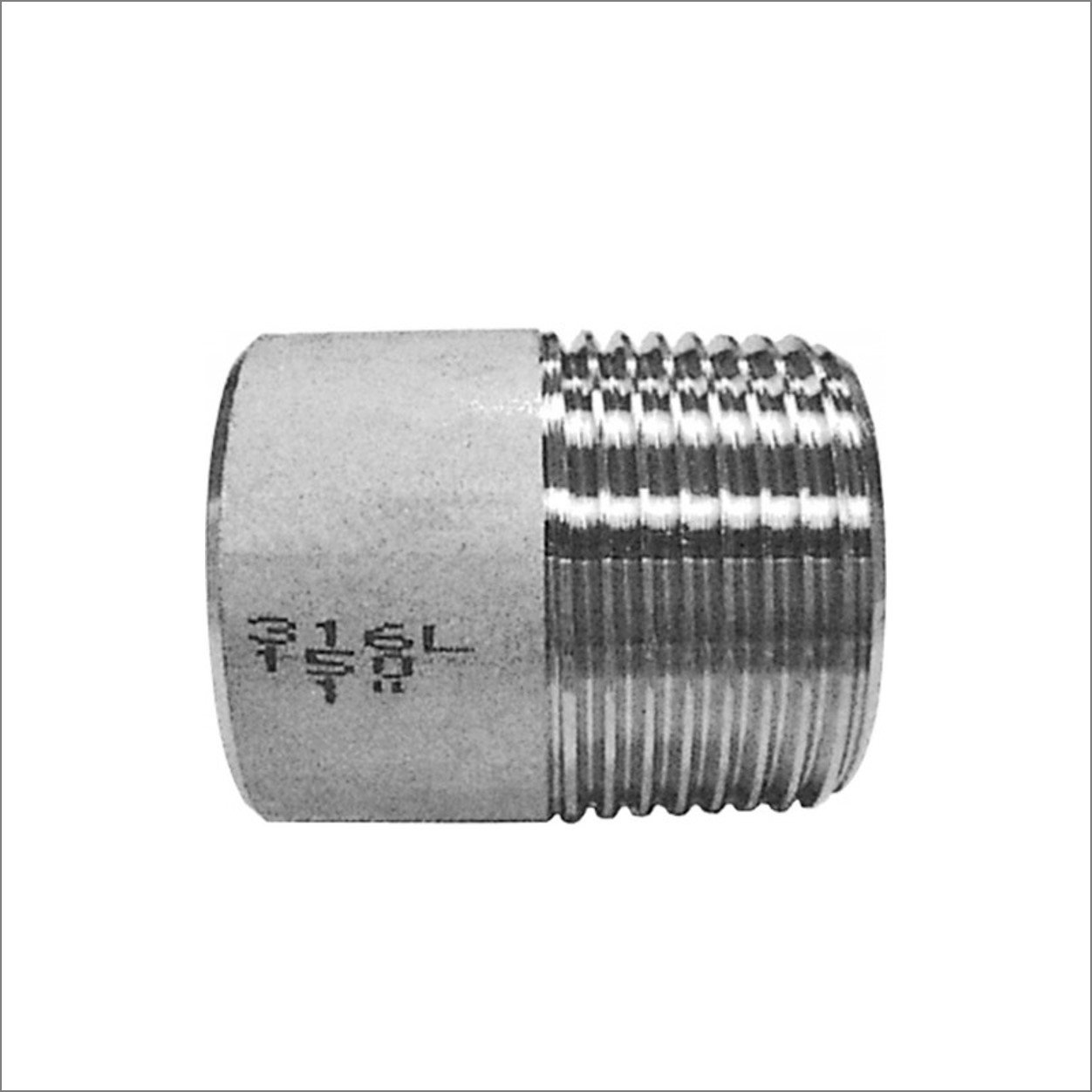 1" BSPP CLOSE NIPPLE 316 STAINLESS STEEL 150LB