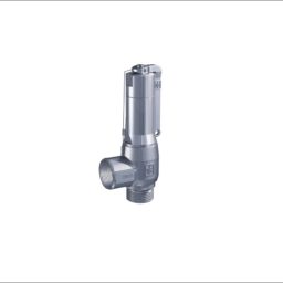 Stainless Steel Safety Valve - Male